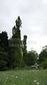 tannenfeld-sommer 2012-069